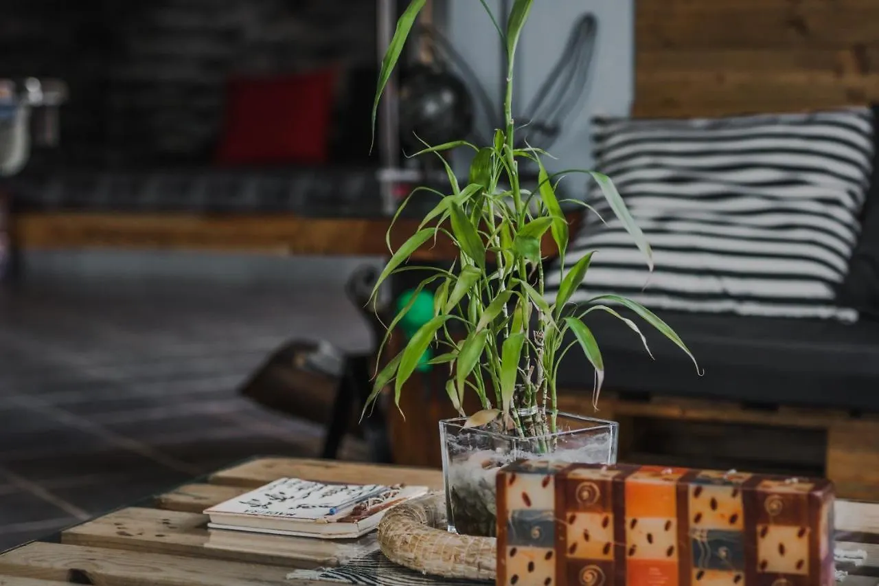 דירות מצ'יקו The Modern & Recycled House